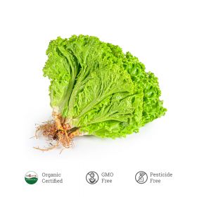 Selada Daun Hijau Organik 200 G